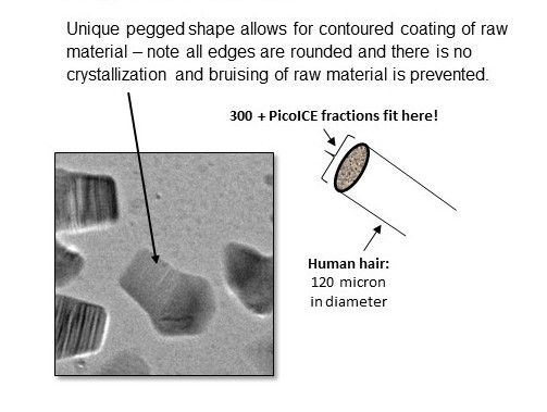 Singel unit of PicoICE